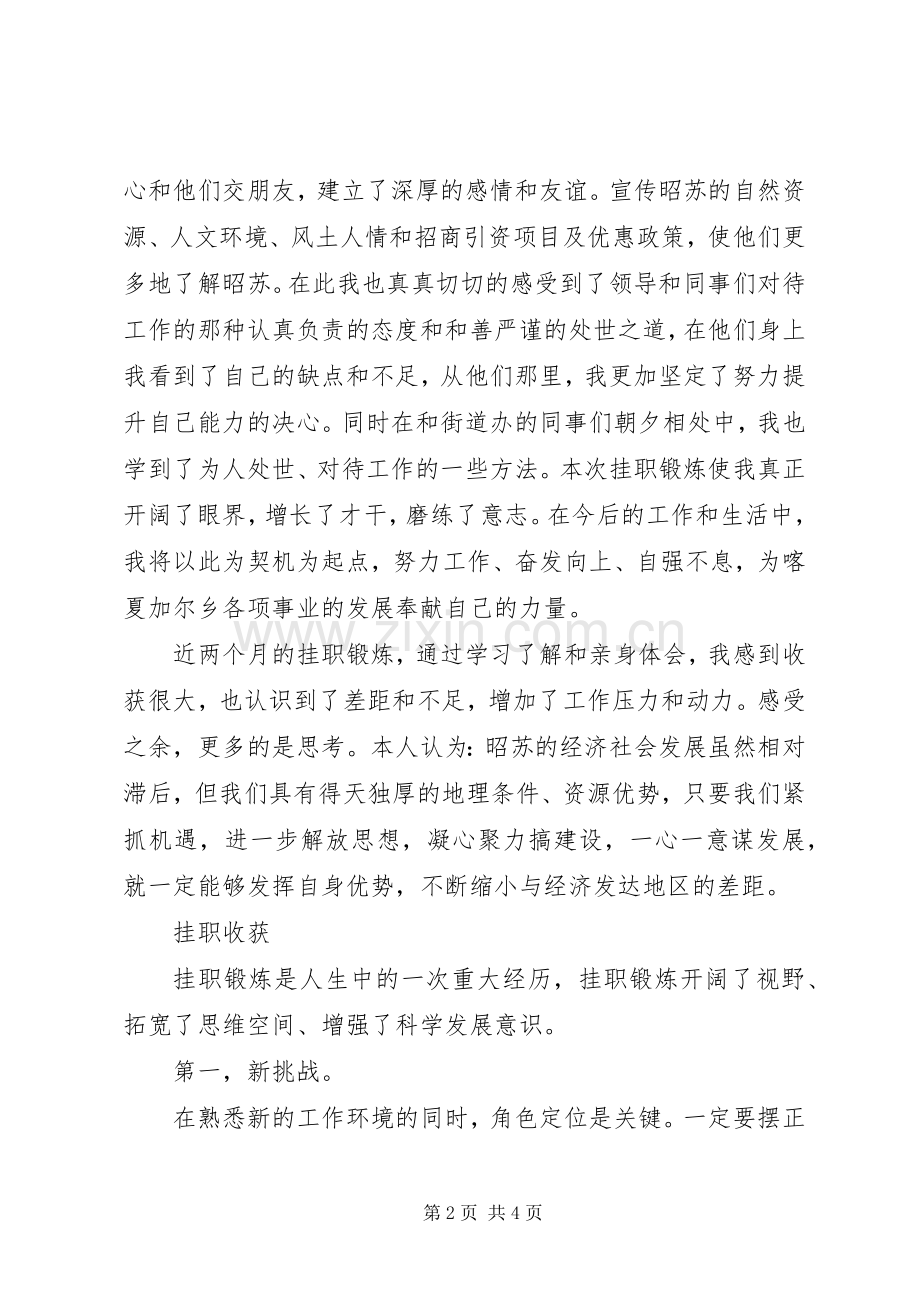 挂职学习心得体会乡副乡长.docx_第2页