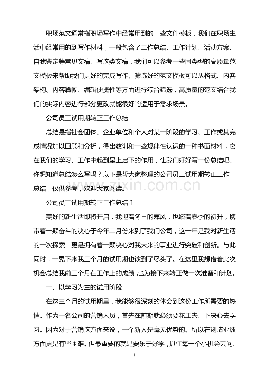 2022年公司员工试用期转正工作总结.doc_第1页