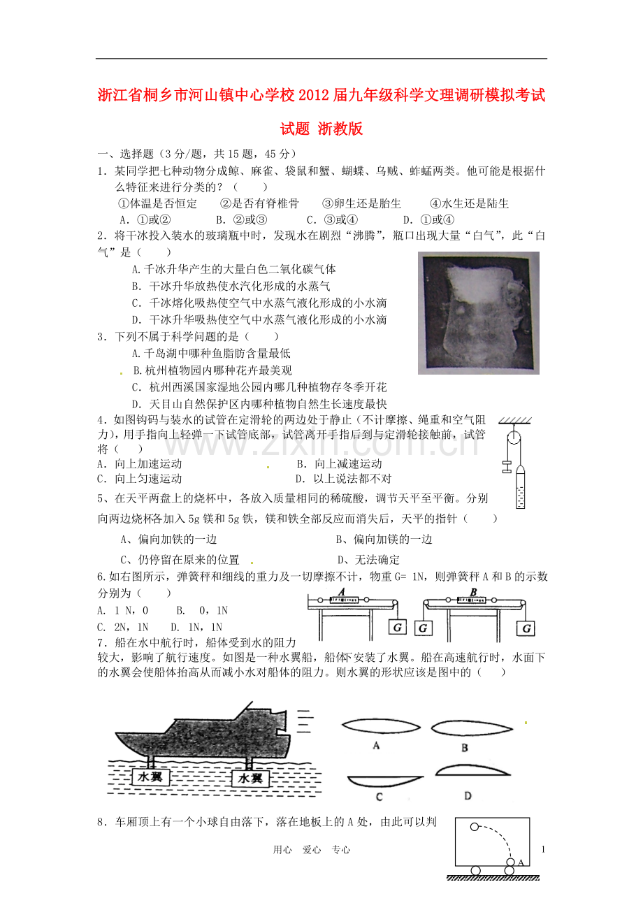 浙江省桐乡市河山镇中心学校九年级科学文理调研模拟考试试题-浙教版.doc_第1页