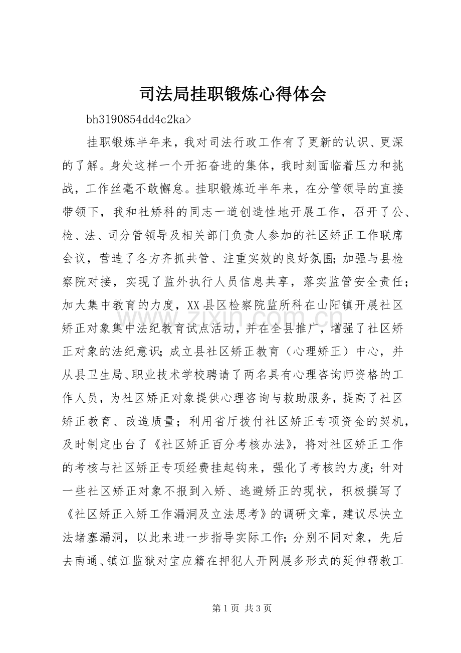 司法局挂职锻炼心得体会.docx_第1页