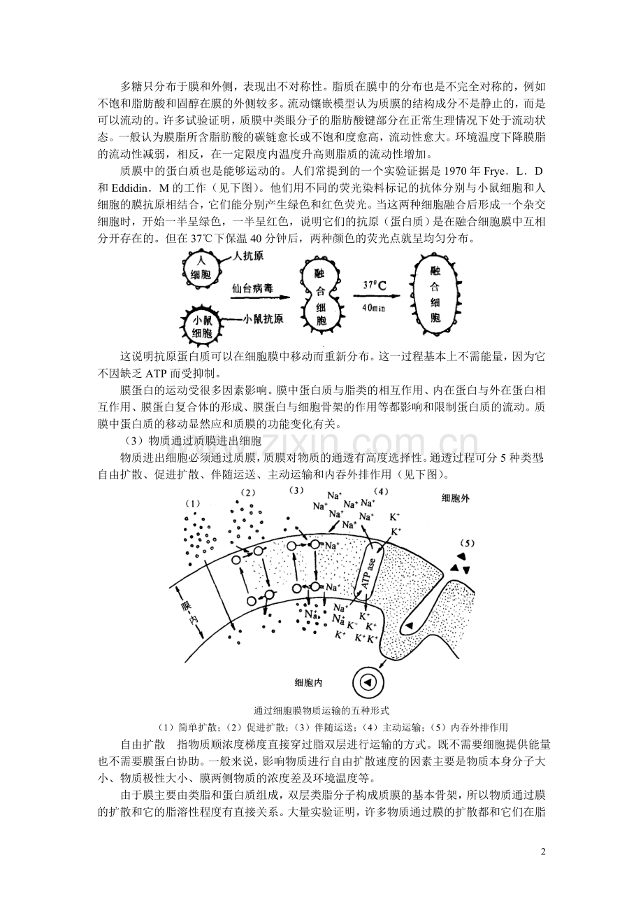 高中生物《细胞膜和细胞壁》文字素材3-浙教版必修1.doc_第2页