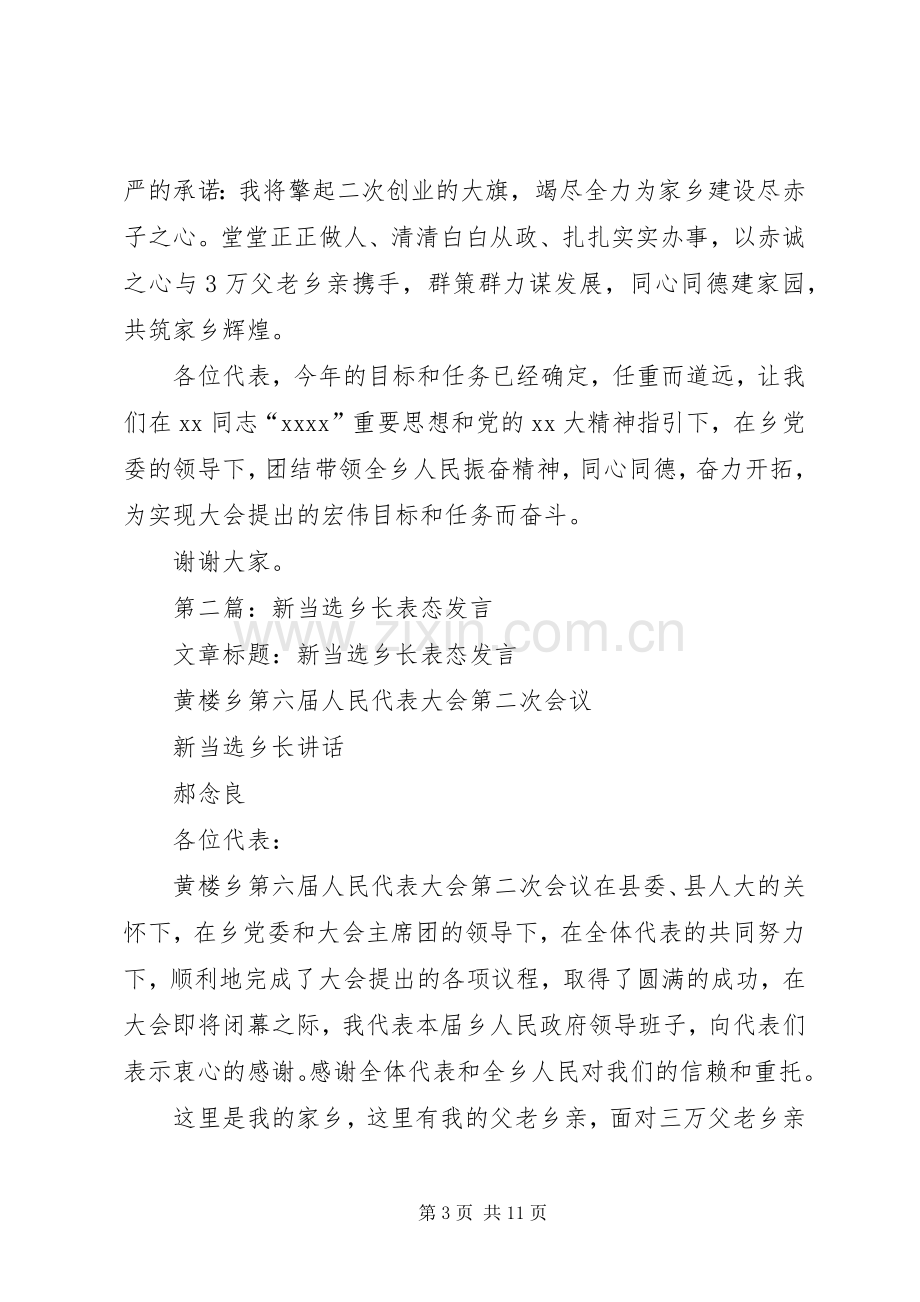 第一篇：新当选乡长表态发言.docx_第3页