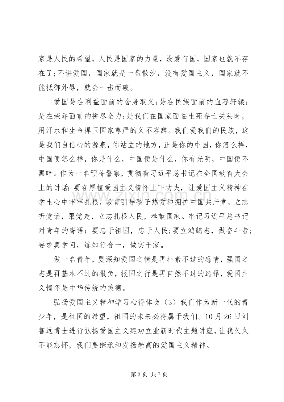 弘扬爱国主义精神学习心得体会4篇.docx_第3页