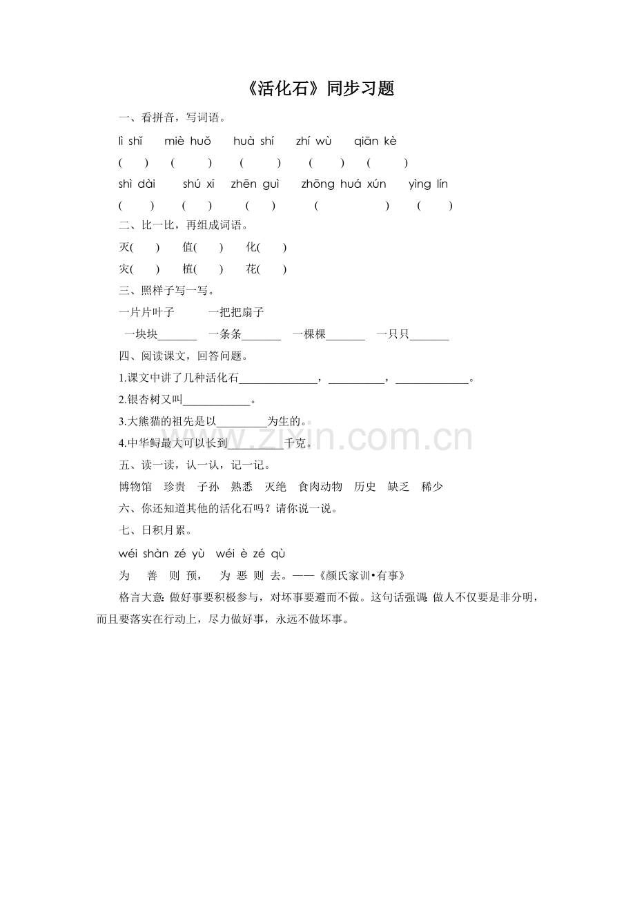 《活化石》同步练习.doc_第1页