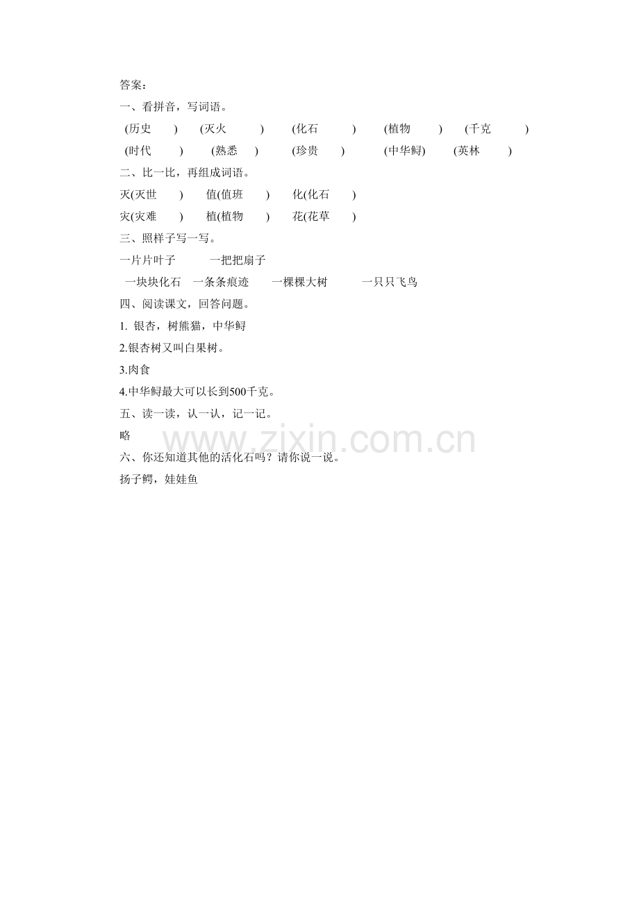 《活化石》同步练习.doc_第2页