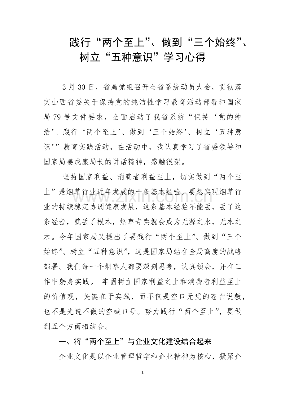 践行“两个至上”、做到“三个始终”、树立“五种意识”学习心得.docx_第1页