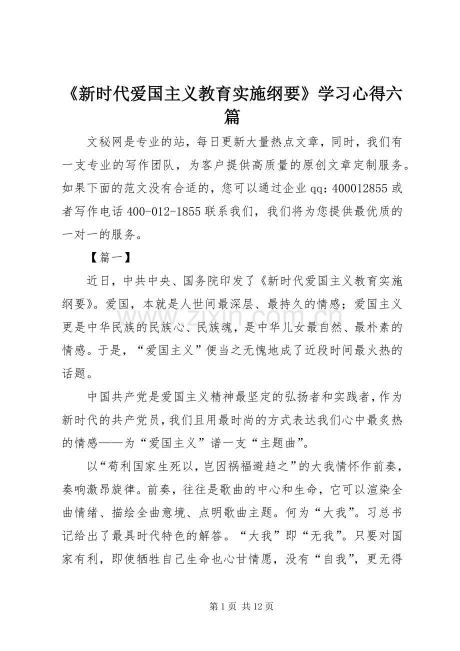 《新时代爱国主义教育实施纲要》学习心得六篇.docx_第1页