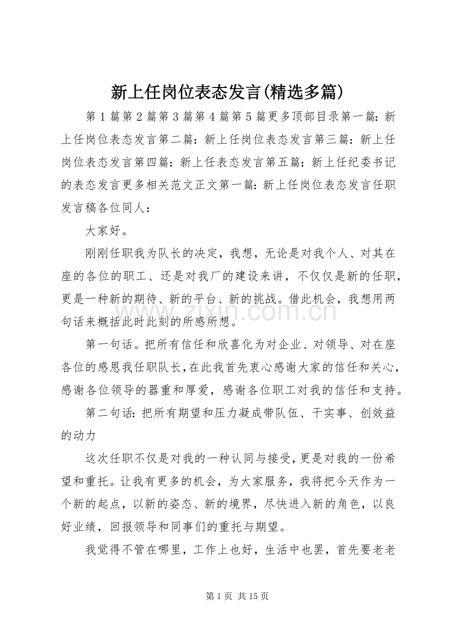 新上任岗位表态发言(多篇).docx_第1页