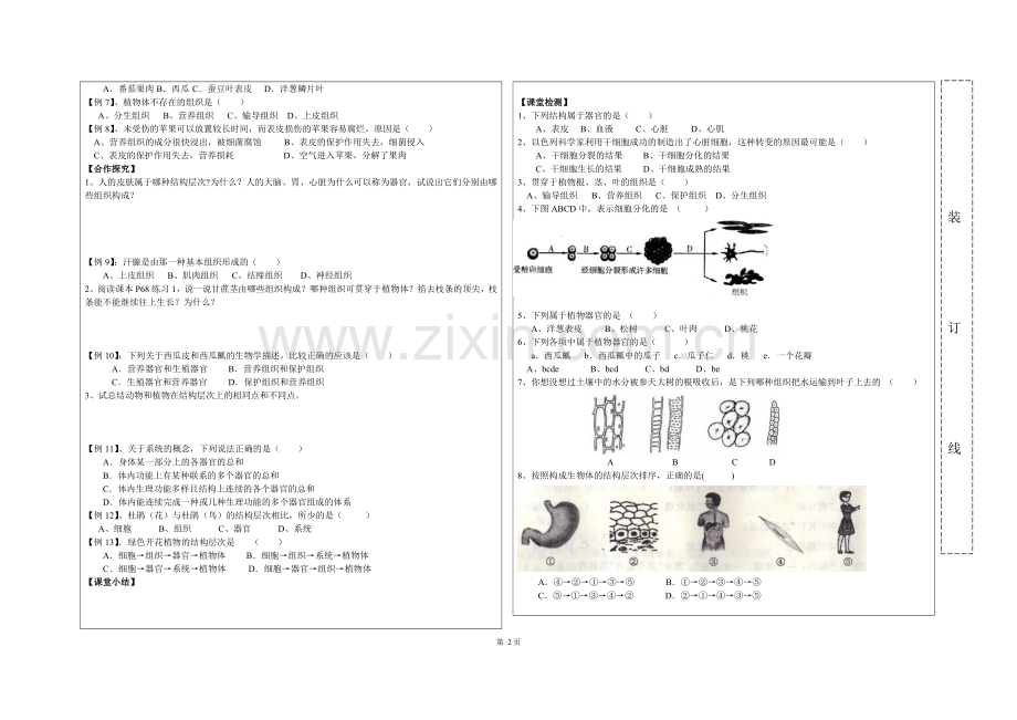 生物体的结构层次导学案.doc_第2页