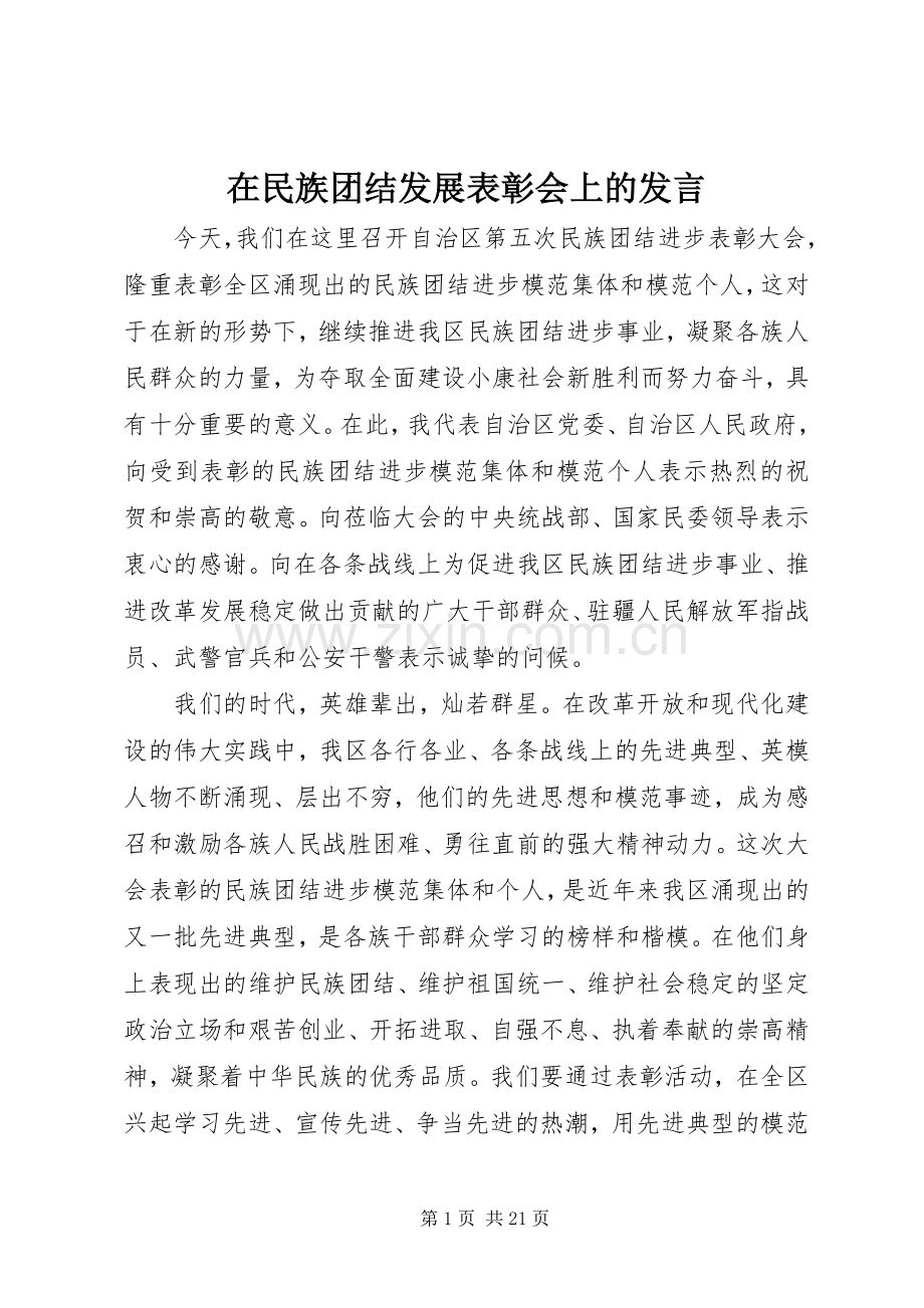 在民族团结发展表彰会上的发言.docx_第1页