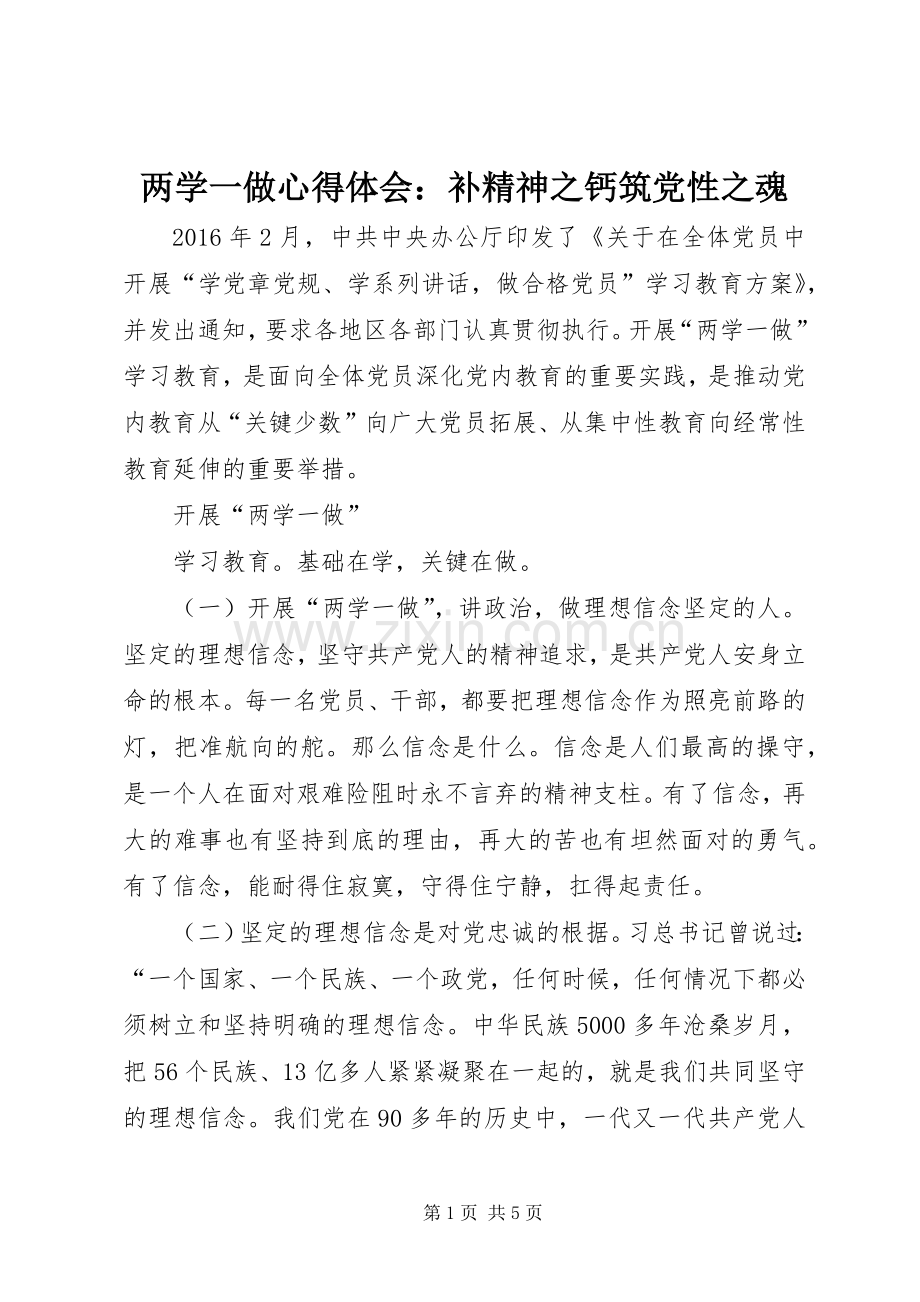 两学一做心得体会：补精神之钙筑党性之魂.docx_第1页