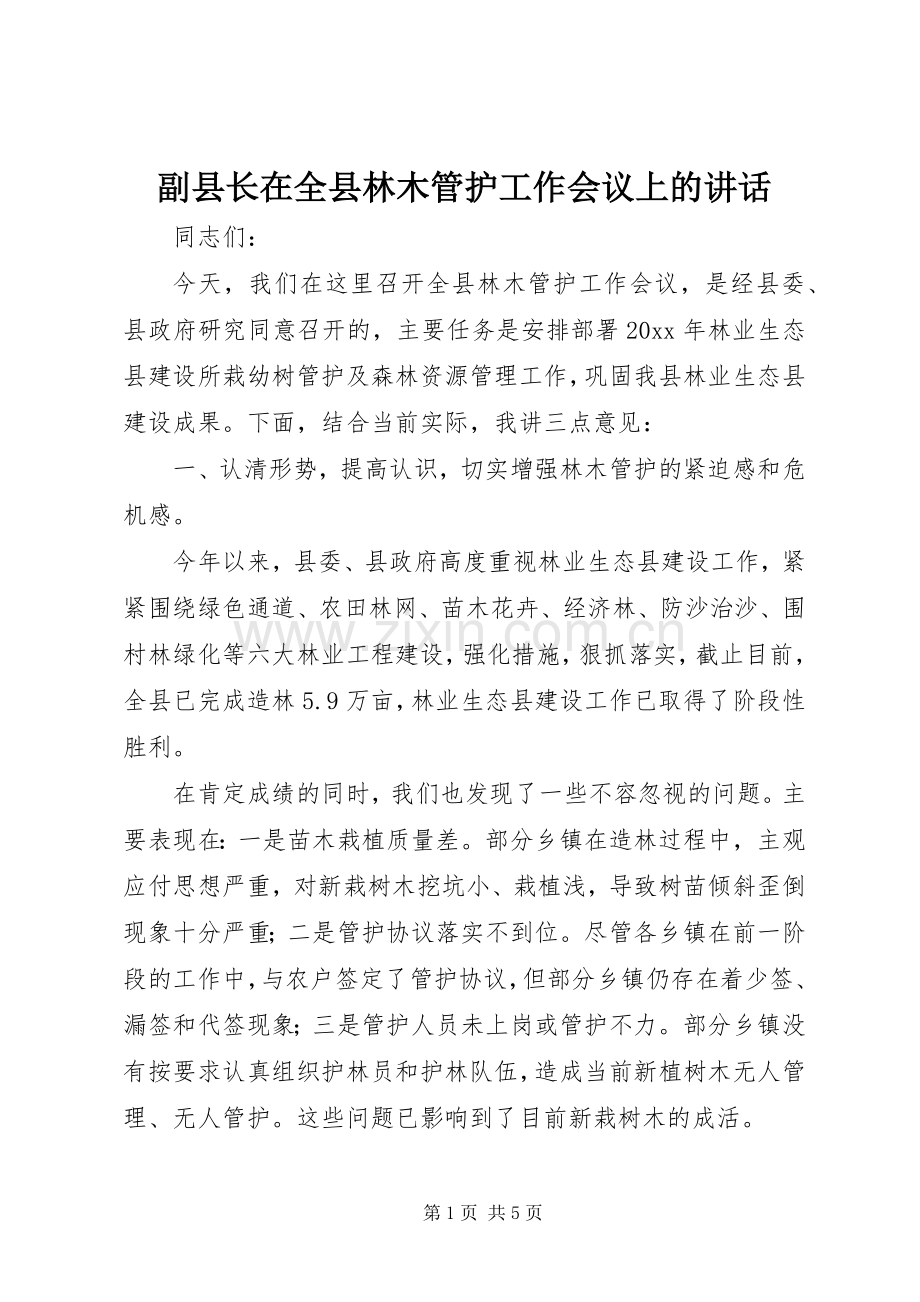 副县长在全县林木管护工作会议上的讲话.docx_第1页