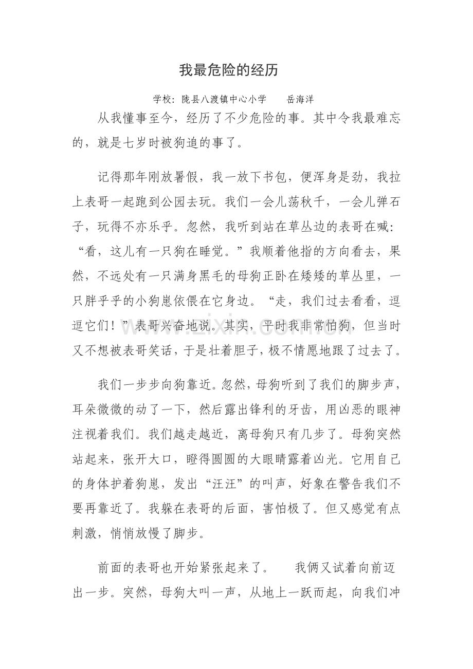 我最危险的经历.doc_第1页