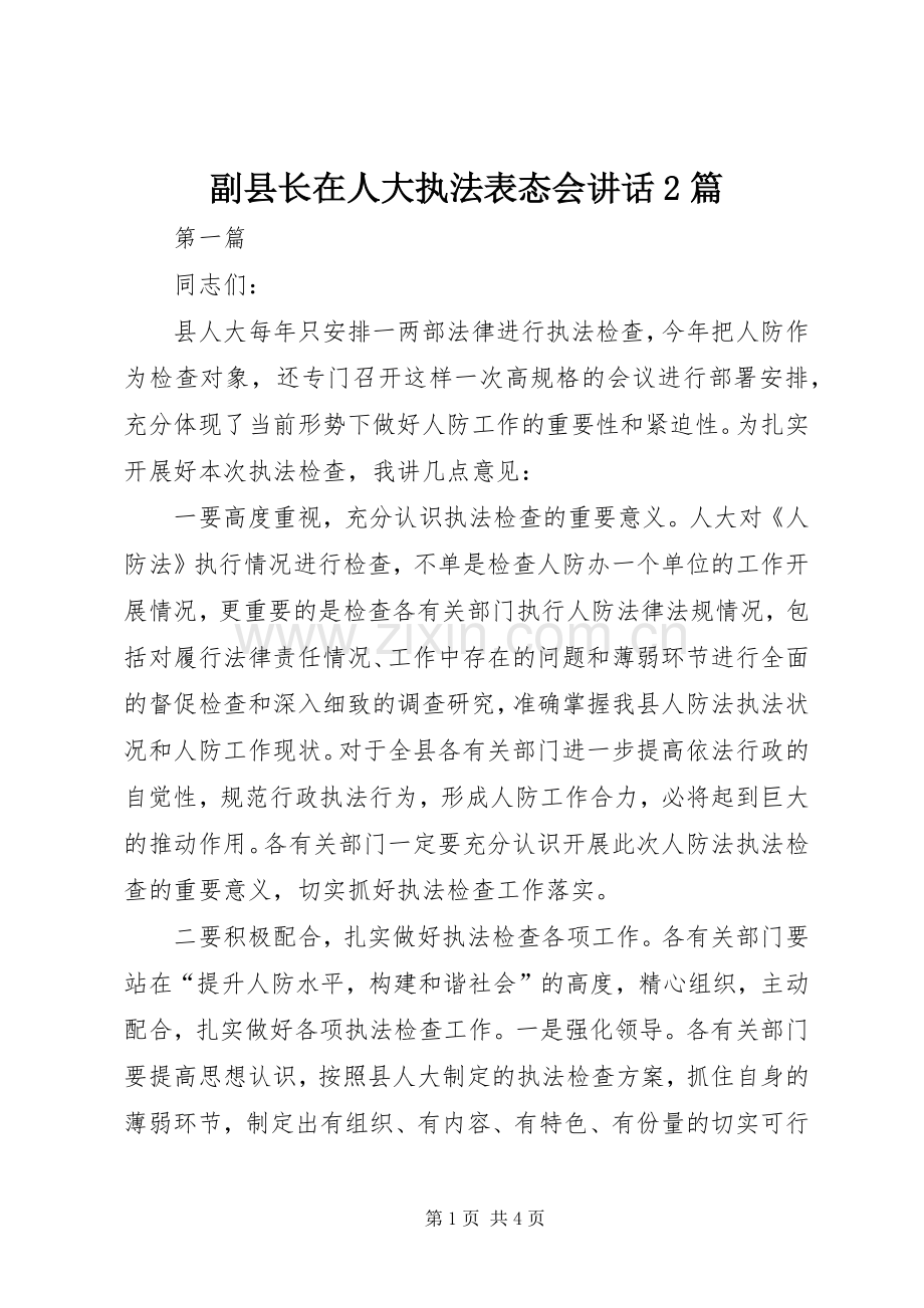 副县长在人大执法表态会讲话2篇.docx_第1页