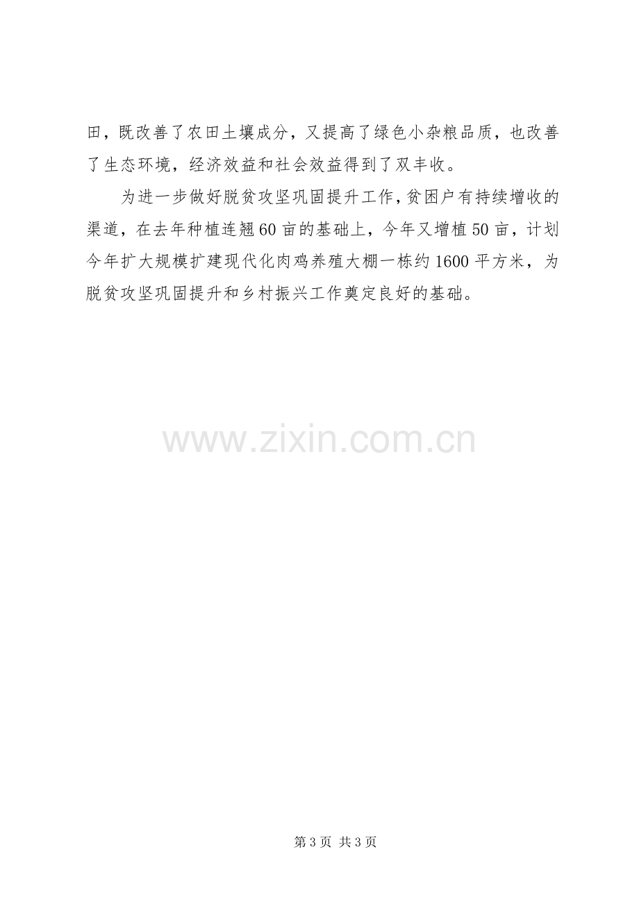 优秀脱贫攻坚村支部书记代表发言稿担当作为,真抓实干.docx_第3页