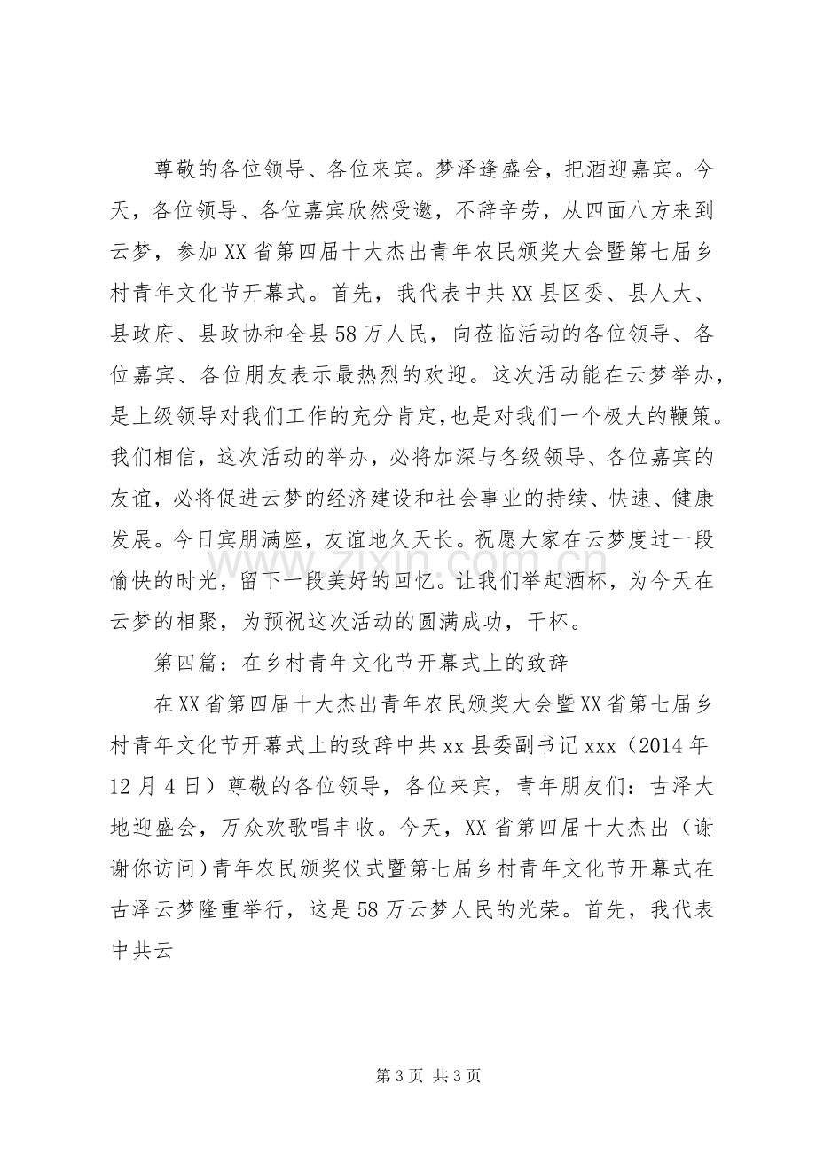 第一篇：在乡村青年文化节开幕式午宴上的致辞.docx_第3页