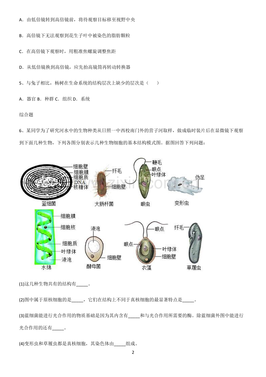 (文末附答案)2022届高中生物第一章走进细胞知识点汇总.pdf_第2页