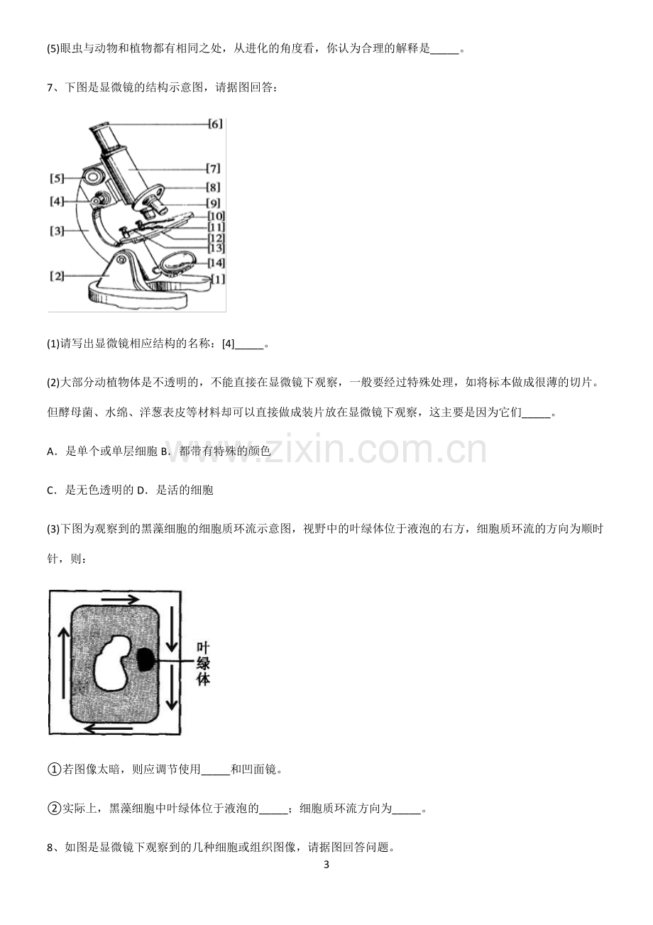 (文末附答案)2022届高中生物第一章走进细胞知识点汇总.pdf_第3页