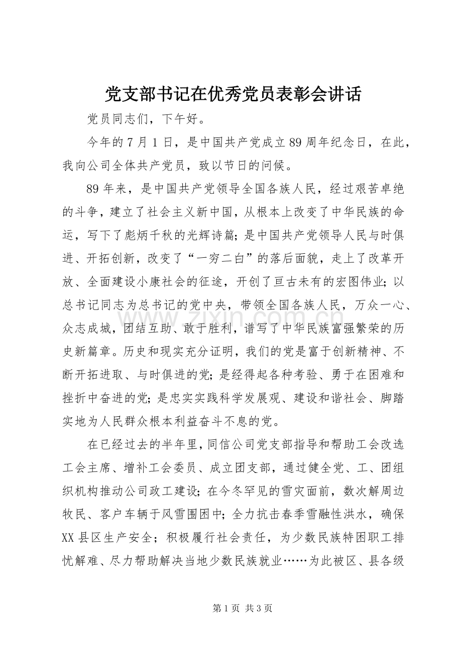 党支部书记在优秀党员表彰会讲话.docx_第1页