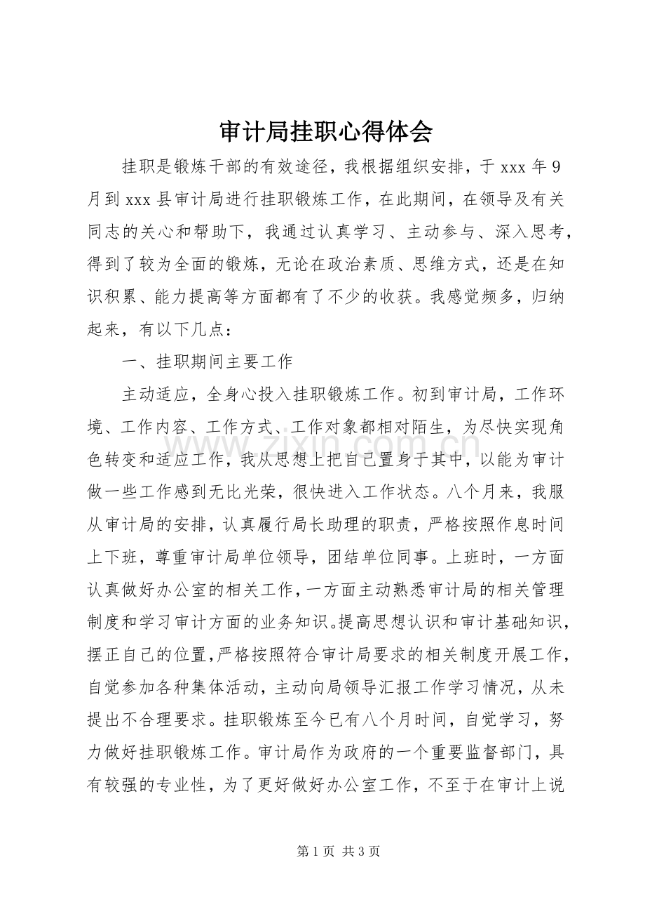 审计局挂职心得体会.docx_第1页