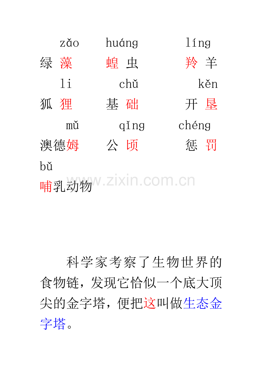 生态金字塔案例.doc_第1页