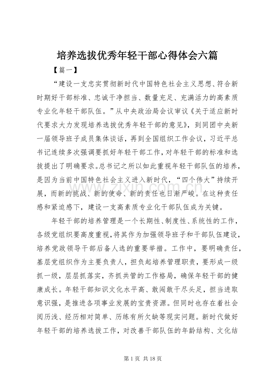 培养选拔优秀年轻干部心得体会六篇.docx_第1页