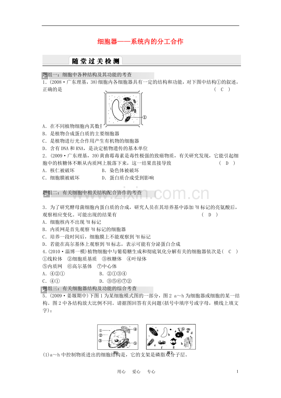 高中生物《细胞器——系统内的分工合作》同步练习10-新人教版必修1.doc_第1页