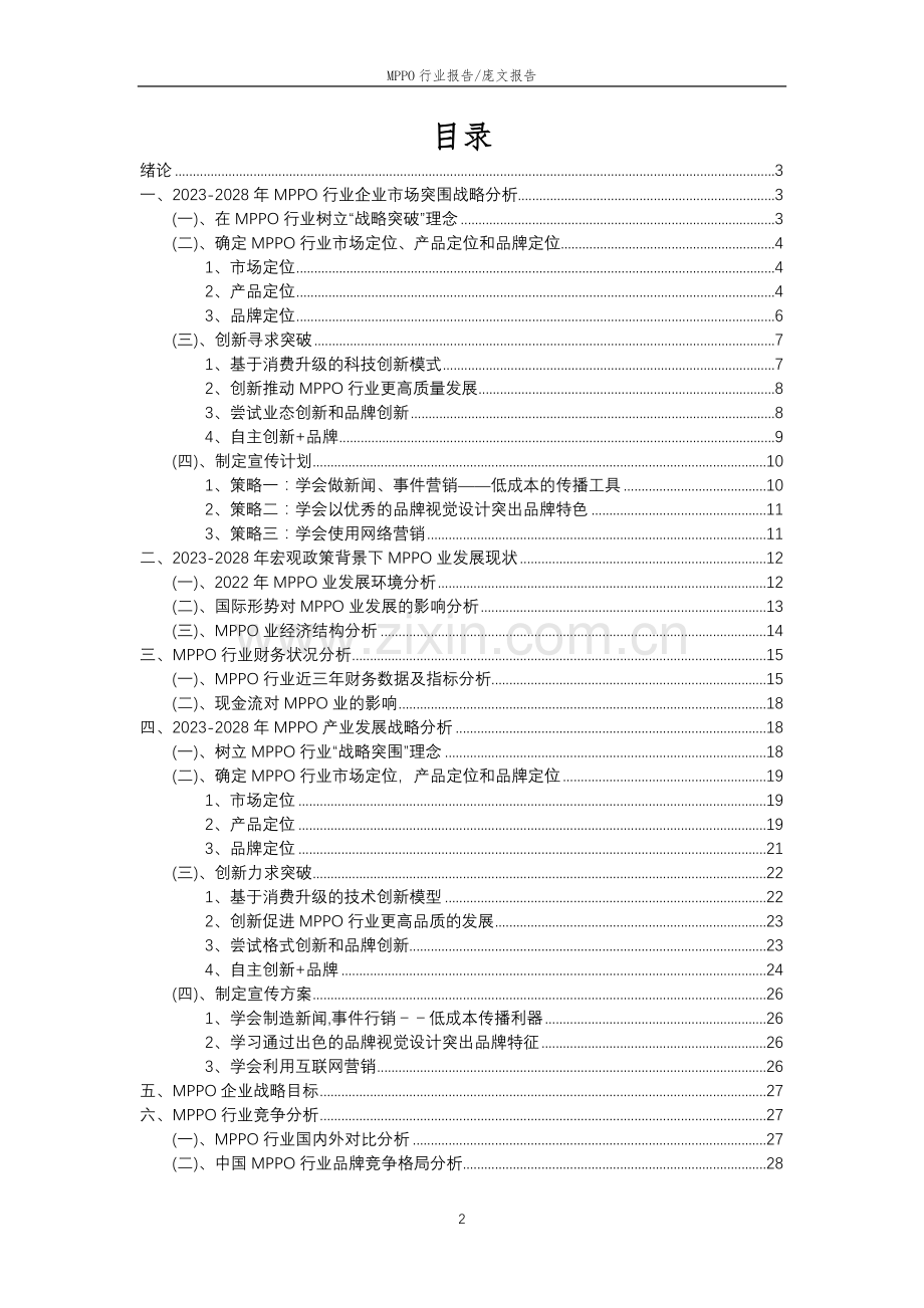 2023年MPPO行业市场突围建议及需求分析报告.doc_第2页