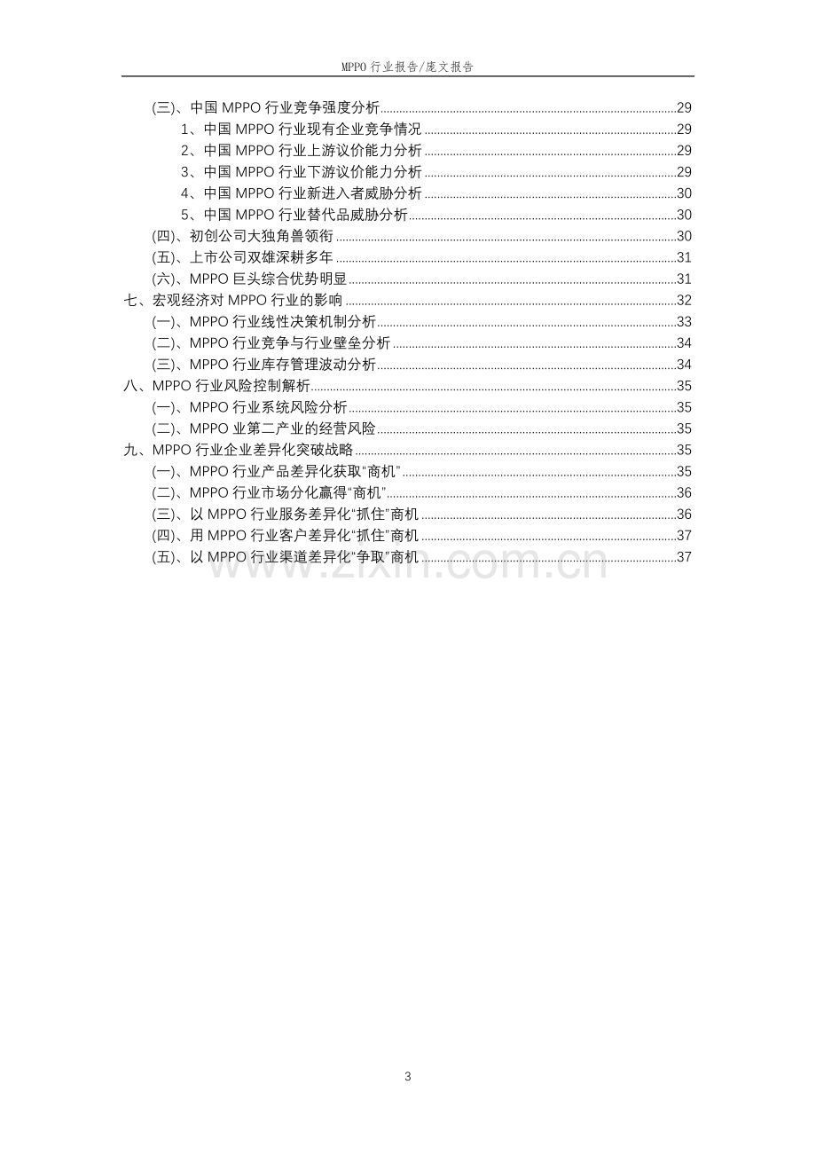 2023年MPPO行业市场突围建议及需求分析报告.doc_第3页