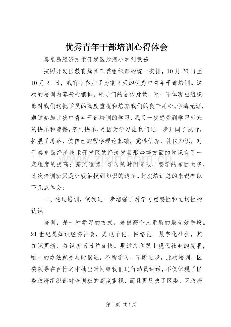 优秀青年干部培训心得体会.docx_第1页