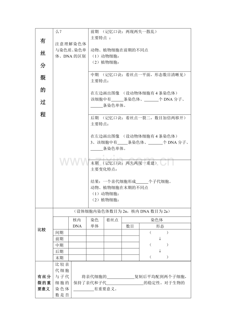 细胞的增殖复习课教案.doc_第2页