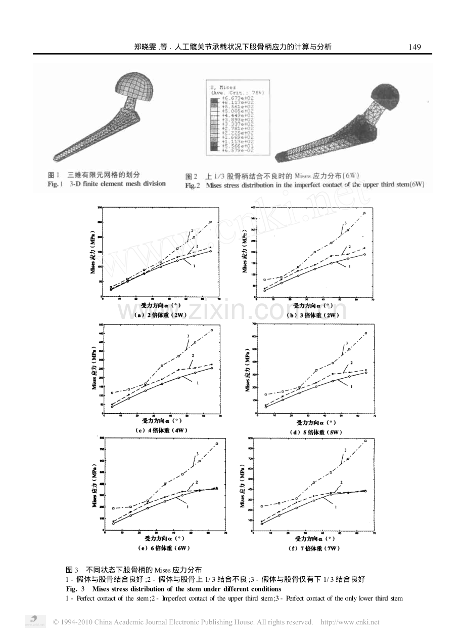 人工髋关节承载状况下股骨柄应力的计算与分析.pdf_第3页