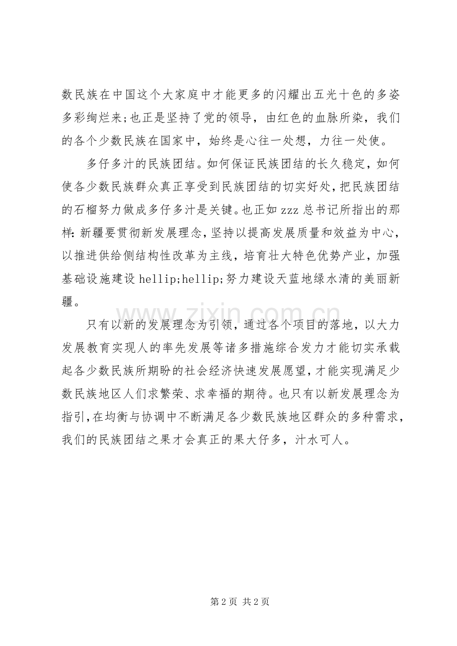 20XX年两会心得体会民族团结.docx_第2页