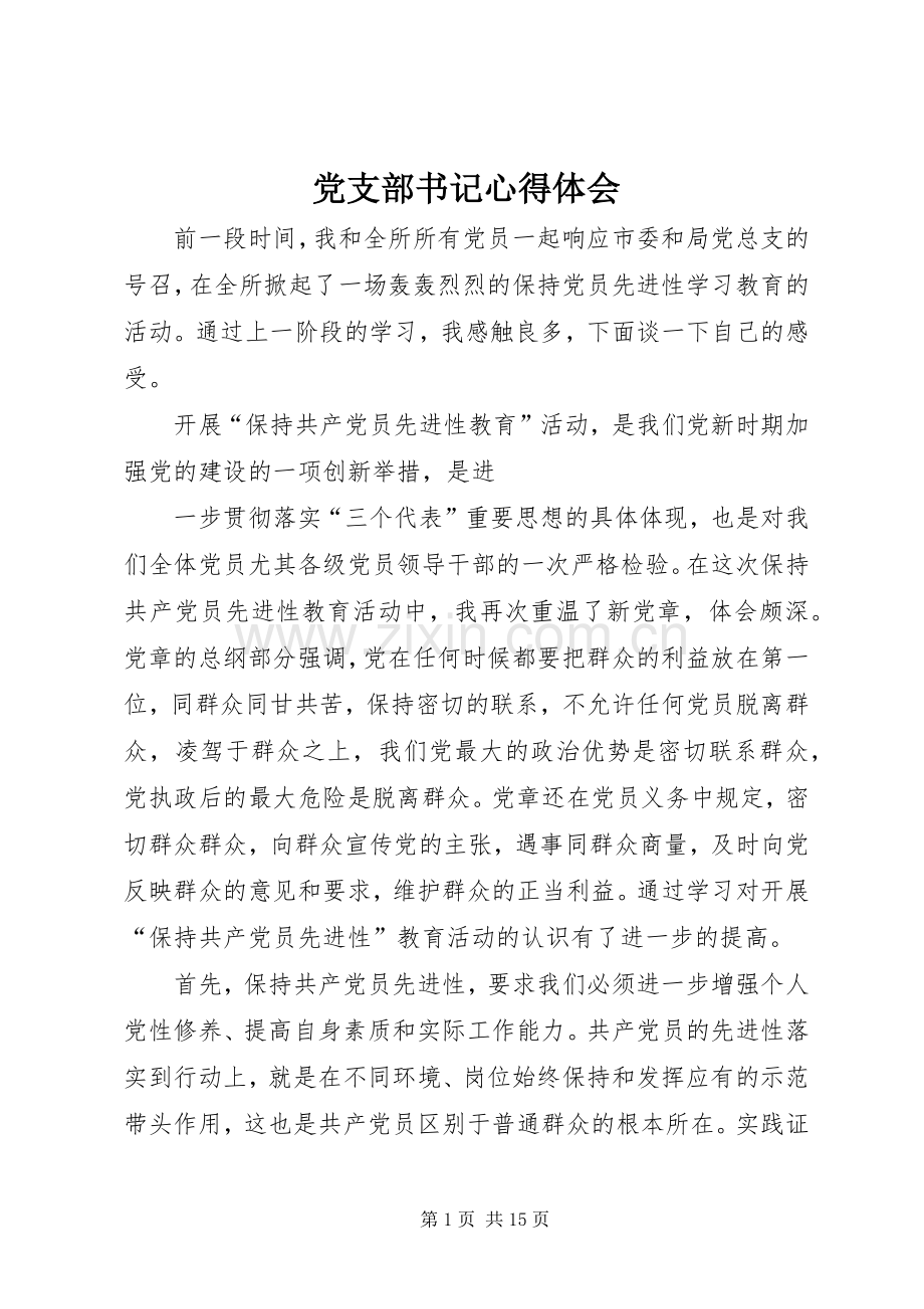 党支部书记心得体会.docx_第1页