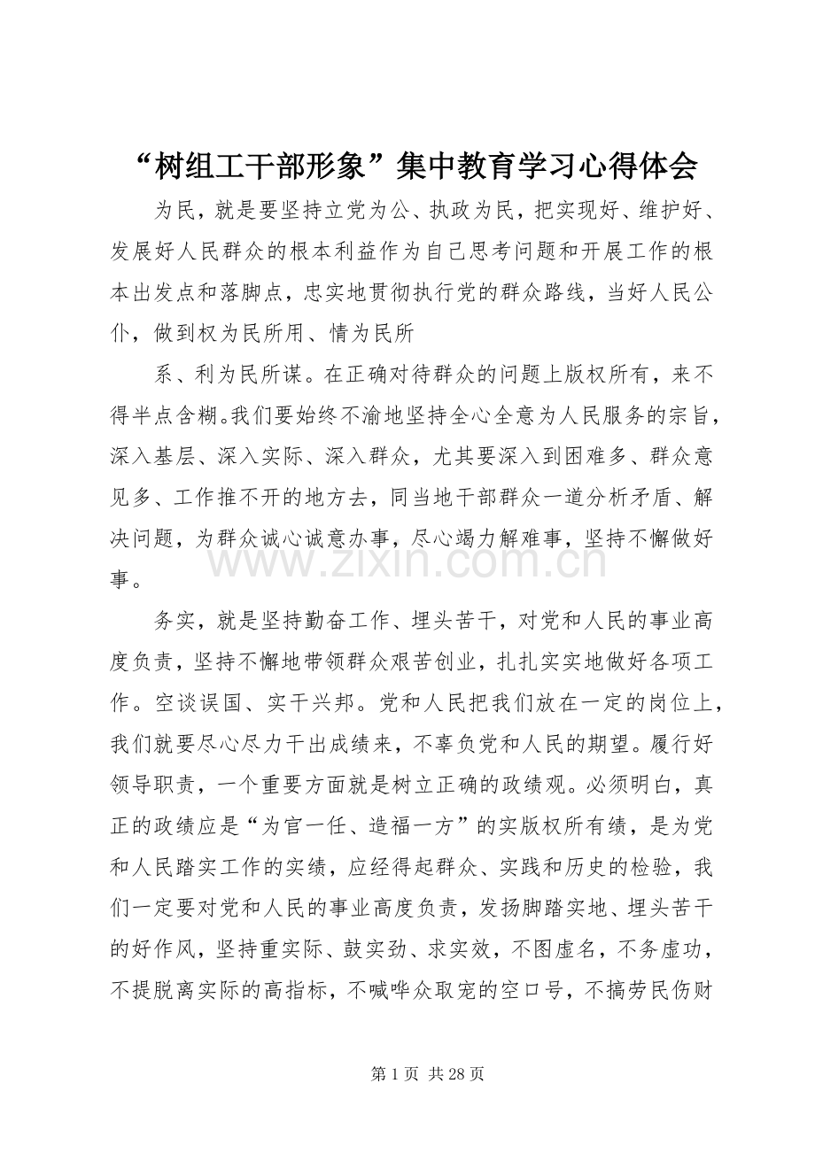 “树组工干部形象”集中教育学习心得体会.docx_第1页