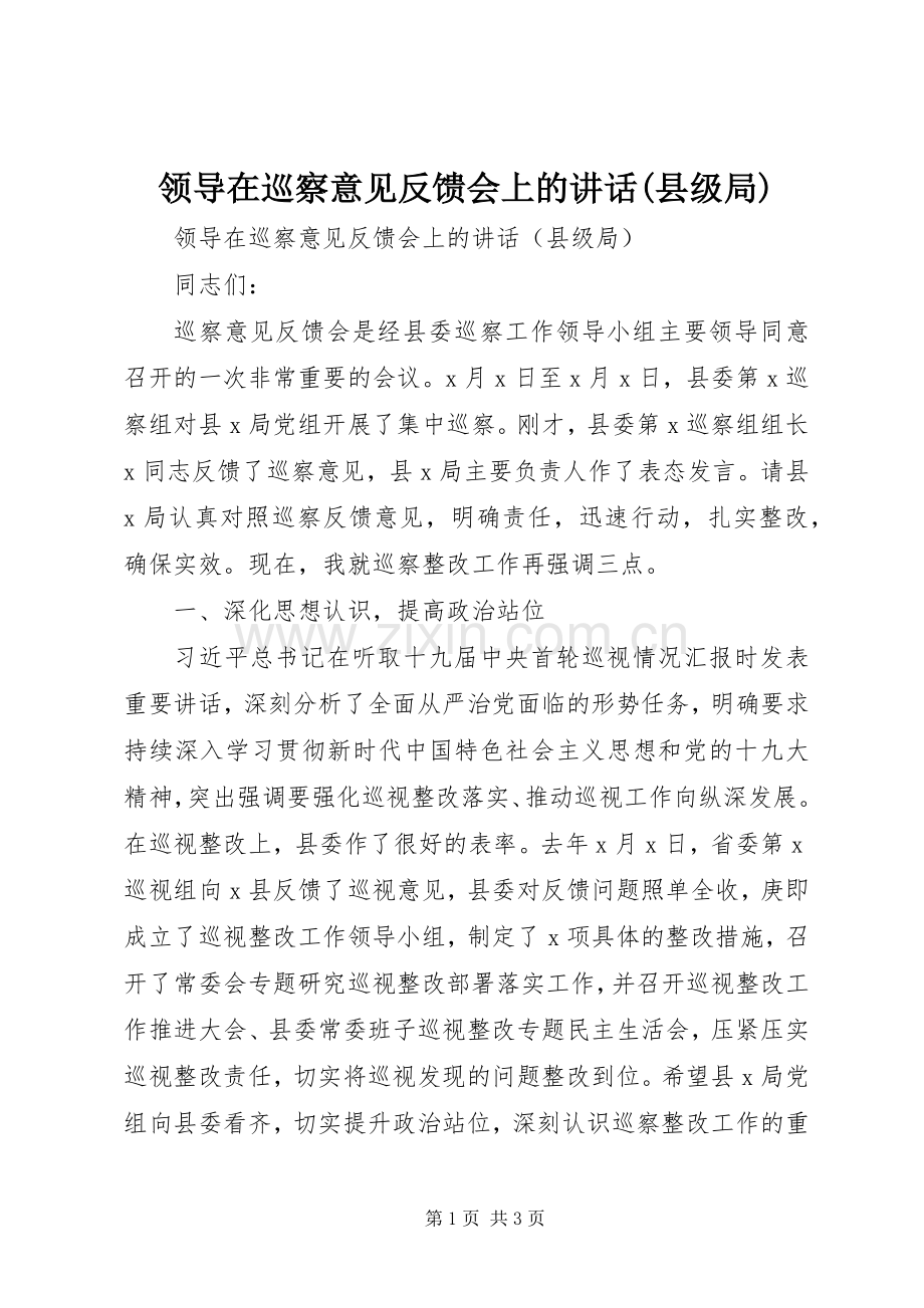 领导在巡察意见反馈会上的讲话(县级局).docx_第1页