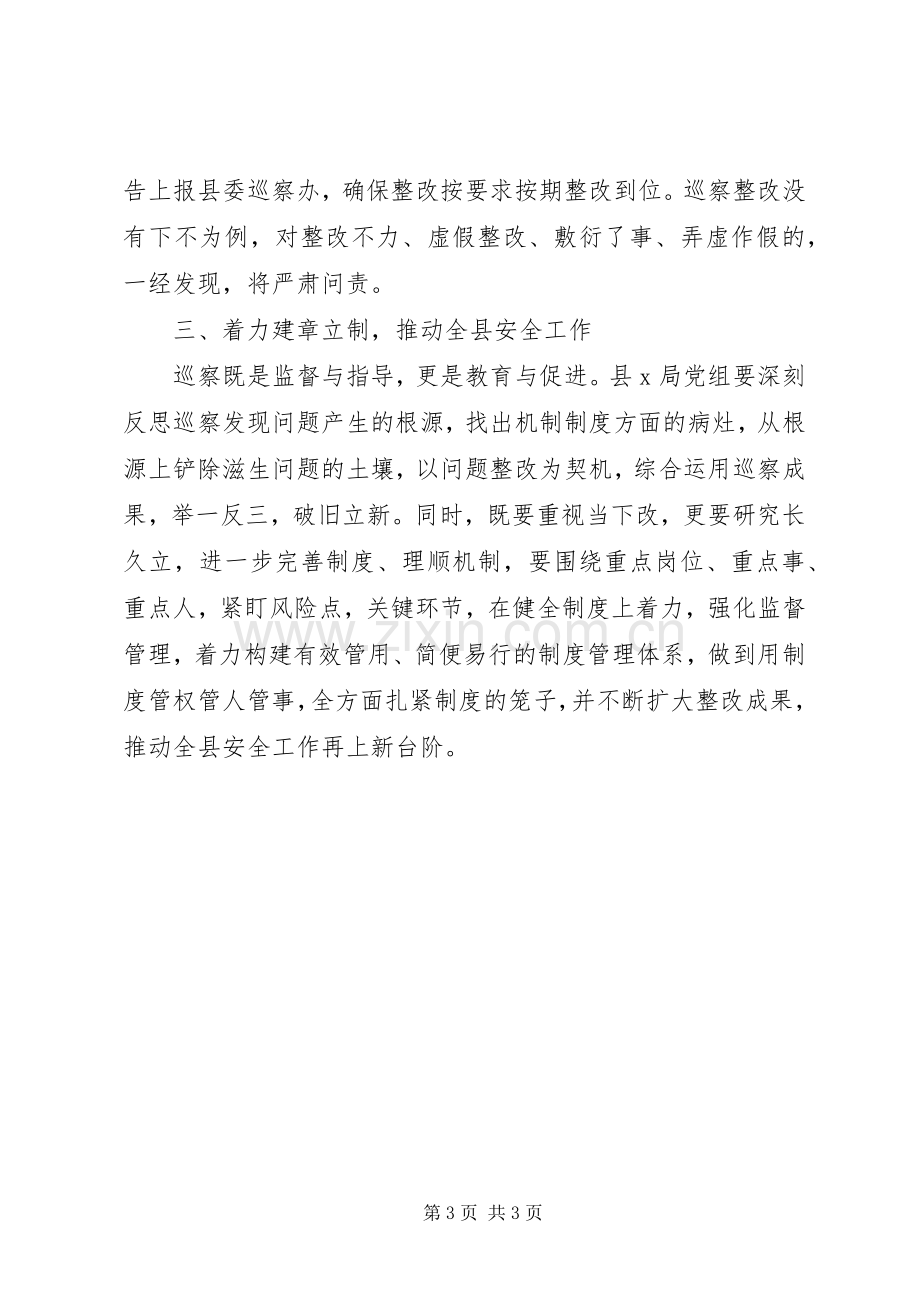 领导在巡察意见反馈会上的讲话(县级局).docx_第3页