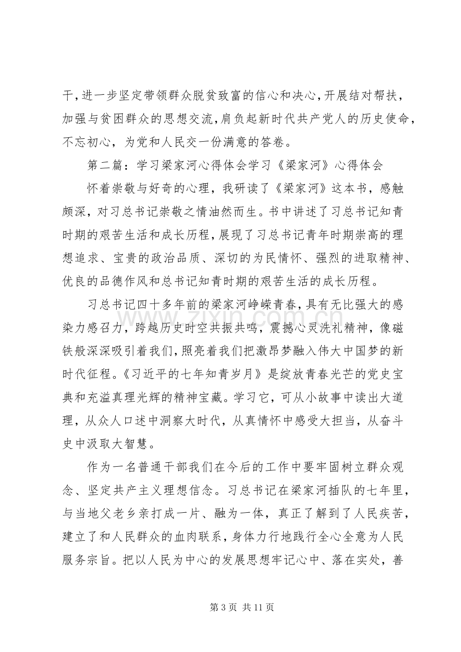 学习梁家河心得体会六.docx_第3页