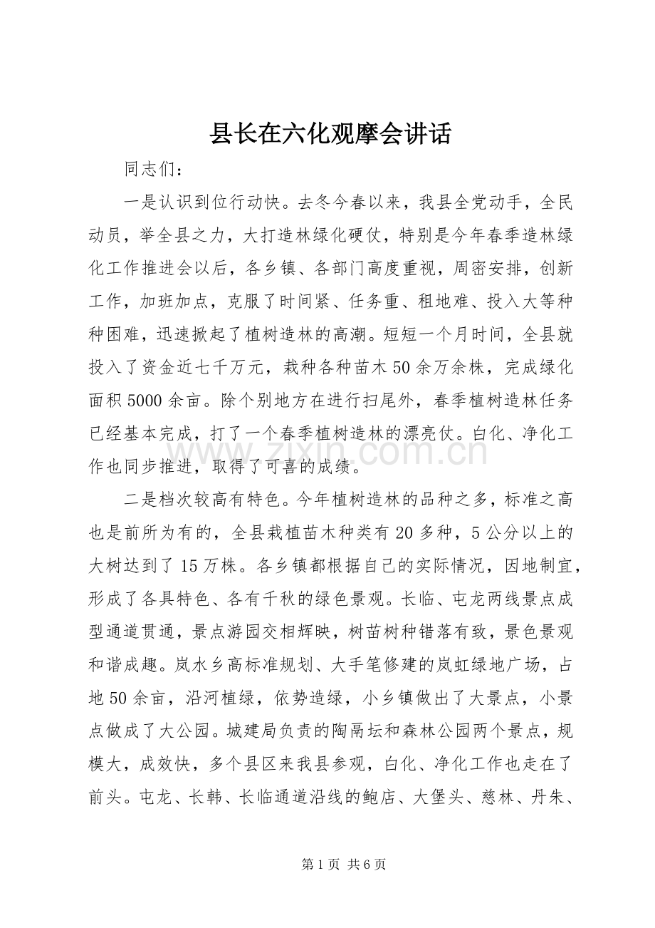 县长在六化观摩会讲话.docx_第1页