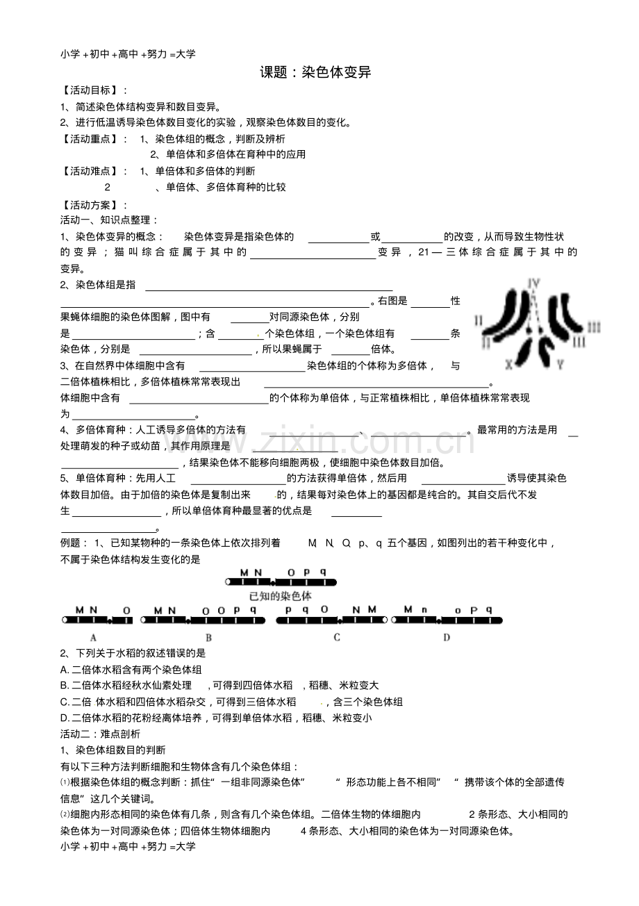 高三生物一轮复习染色体变异活动单(无答案).pdf_第1页