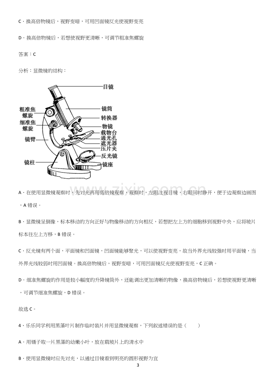 通用版初中生物七年级上册第二单元生物体的结构层次知识集锦-(2).docx_第3页