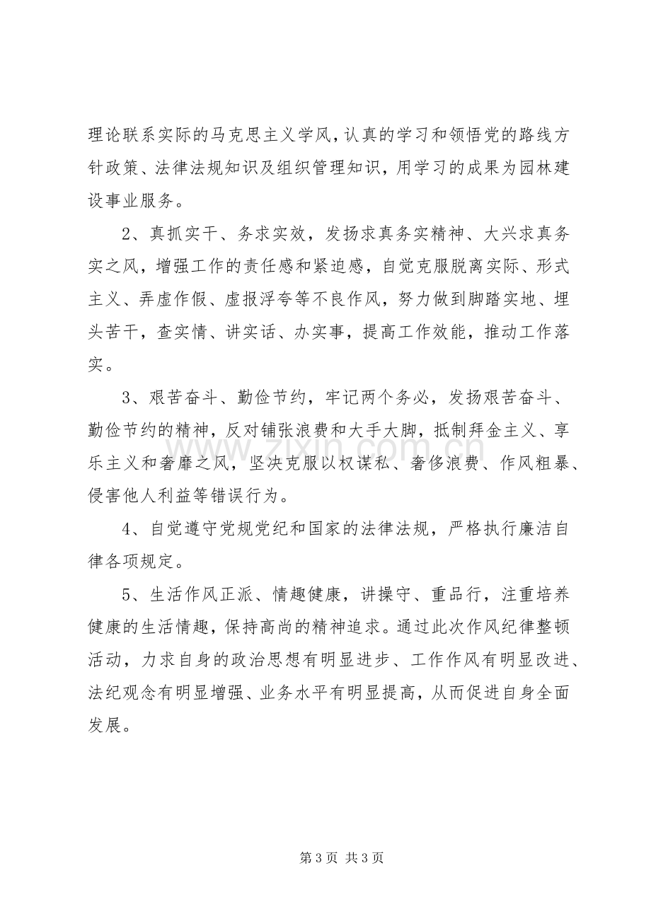 作风纪律整顿活动心得体会.docx_第3页