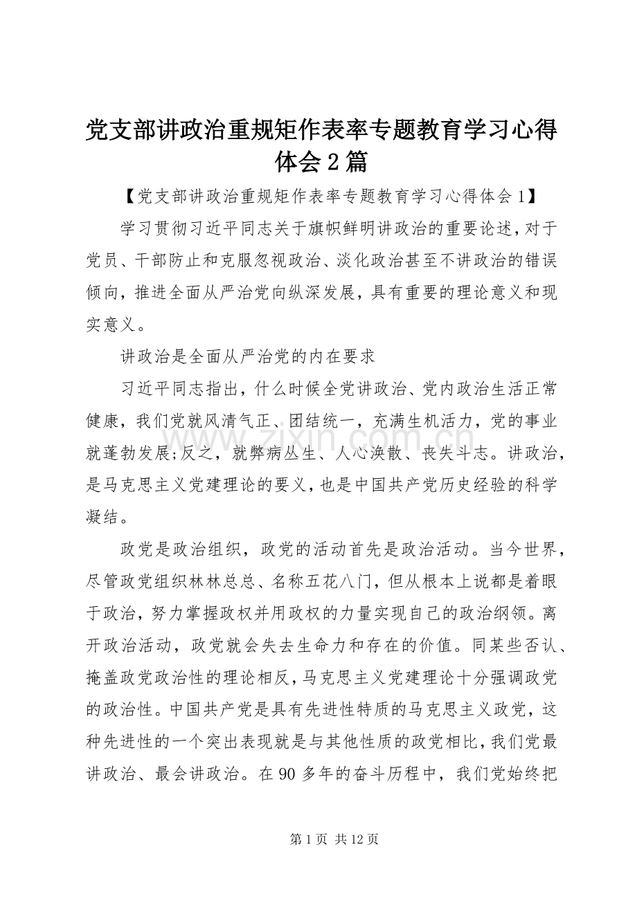 党支部讲政治重规矩作表率专题教育学习心得体会2篇.docx_第1页