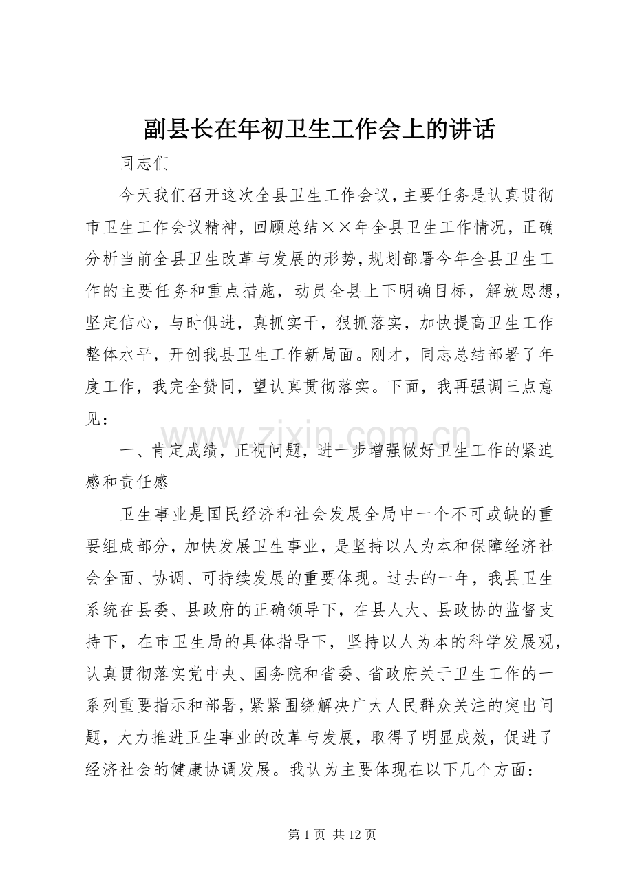 副县长在年初卫生工作会上的讲话.docx_第1页