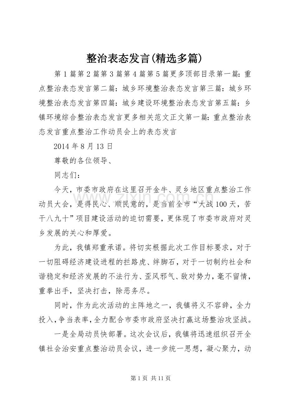 整治表态发言(多篇).docx_第1页