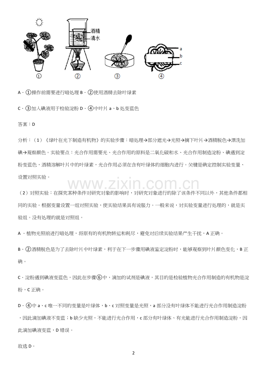 通用版初中生物七年级上册第三单元生物圈中的绿色植物知识点总结-(2).docx_第2页