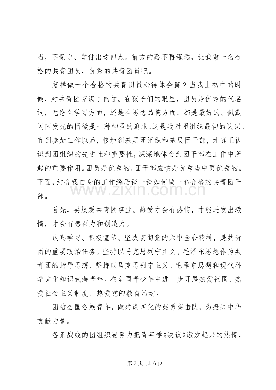 怎样做一个合格的共青团员心得体会.docx_第3页