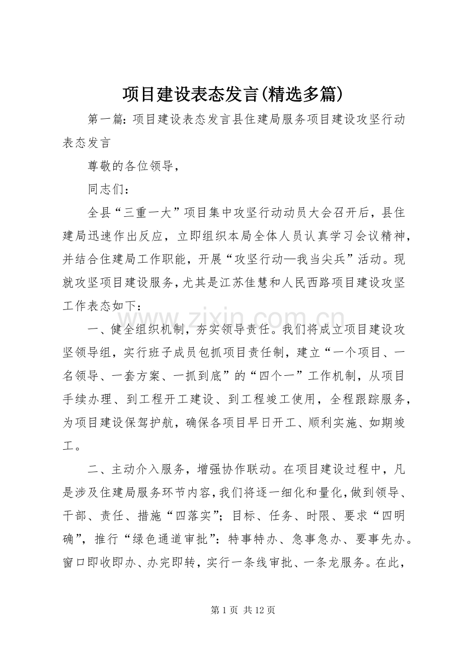 项目建设表态发言(多篇).docx_第1页