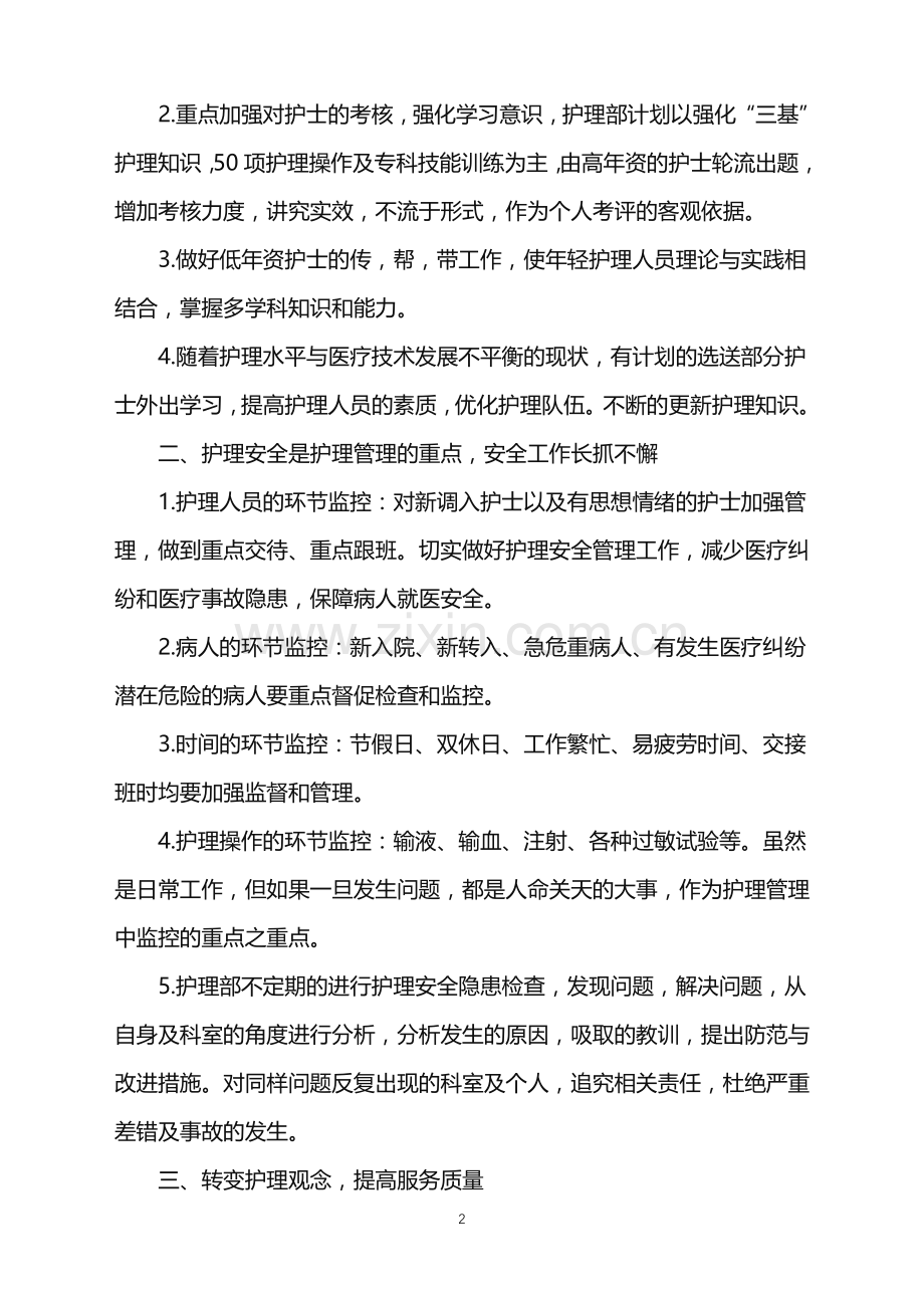 2022年护理部个人工作计划5篇范文.doc_第2页