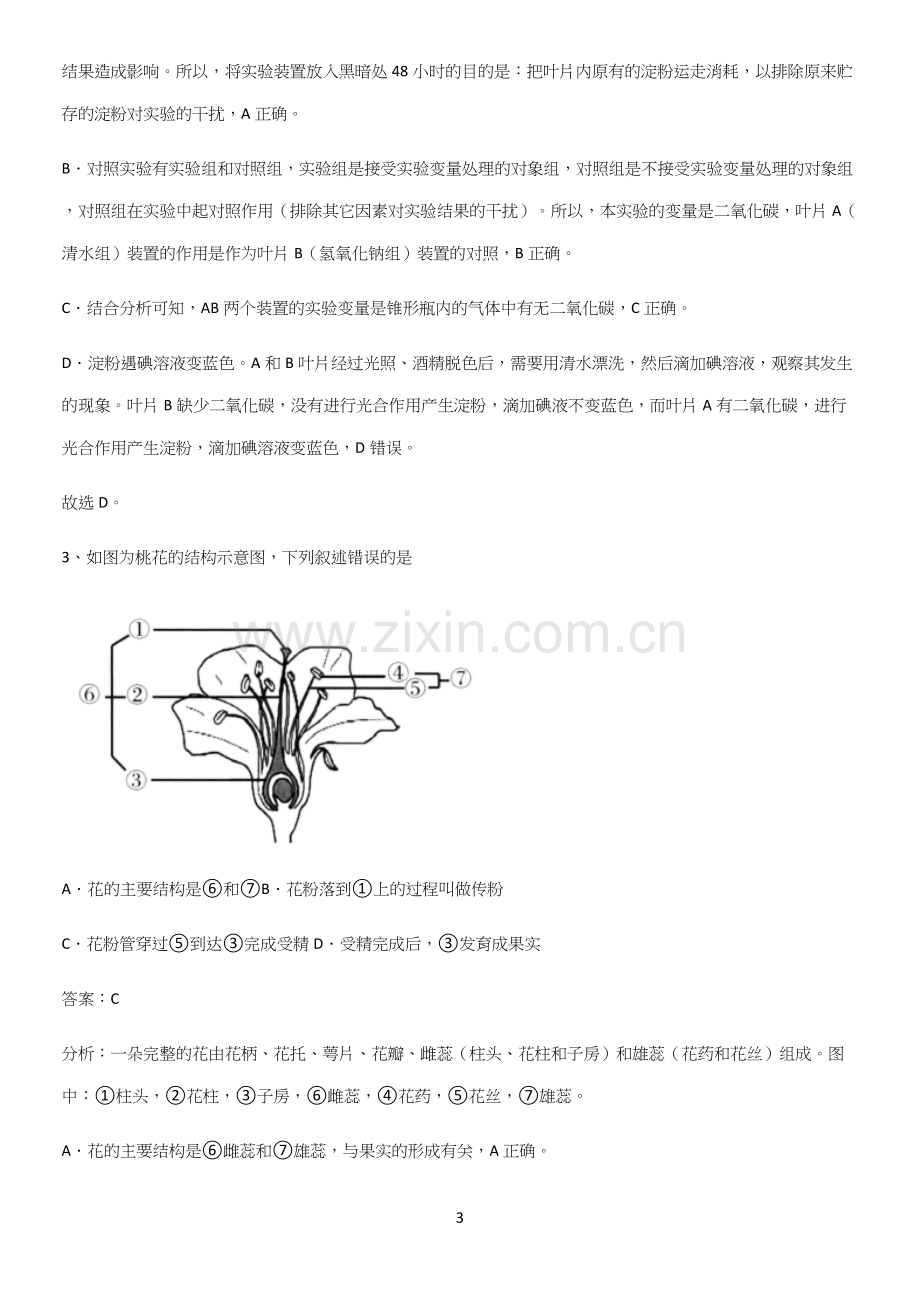 人教版2023初中生物七年级上册第三单元生物圈中的绿色植物全部重要知识点.docx_第3页